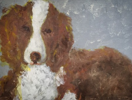 englishspringerspaniel 3