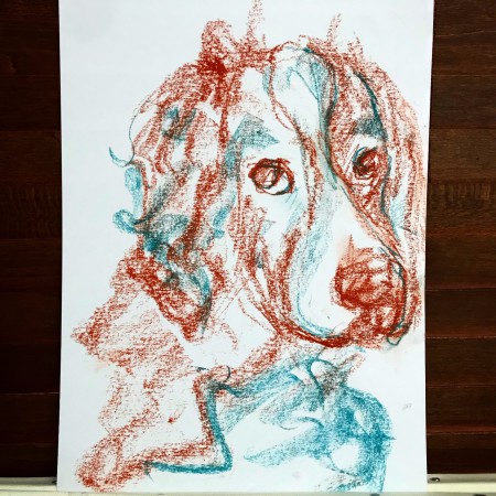 engrlishspringerspaniel